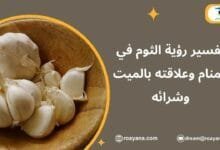 تفسير حلم الثوم في المنام