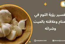 تفسير حلم الثوم في المنام