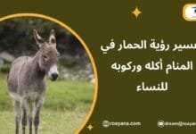 تفسير حلم الحمار في المنام