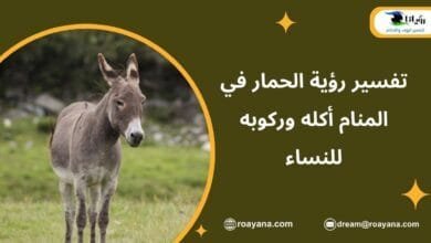 تفسير رؤية الحمار في المنام أكله وركوبه للنساء تفسير حلم الحمار في المنام