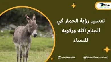 تفسير رؤية الحمار في المنام أكله وركوبه للنساء تفسير حلم الحمار في المنام
