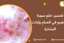 تفسير رؤية سورة إبراهيم في المنام