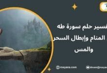 تفسير رؤية سورة طه في المنام