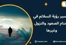 تفسير حلم السلالم في المنام