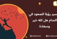 تفسير حلم الصعود في المنام