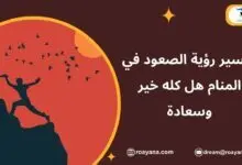 تفسير حلم الصعود في المنام