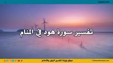 تفسير سورة هود في المنام وعلاقتها بالسفر والنجاة تفسير حلم سورة هود في المنام