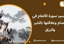 تفسير حلم سورة الأنعام في المنام