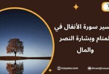 تفسير حلم سورة الأنفال في المنام