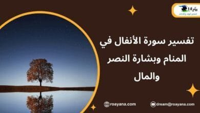 تفسير حلم سورة الأنفال في المنام