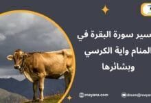 تفسير حلم سورة البقرة في المنام
