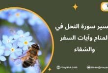 تفسير حلم سورة النحل في المنام