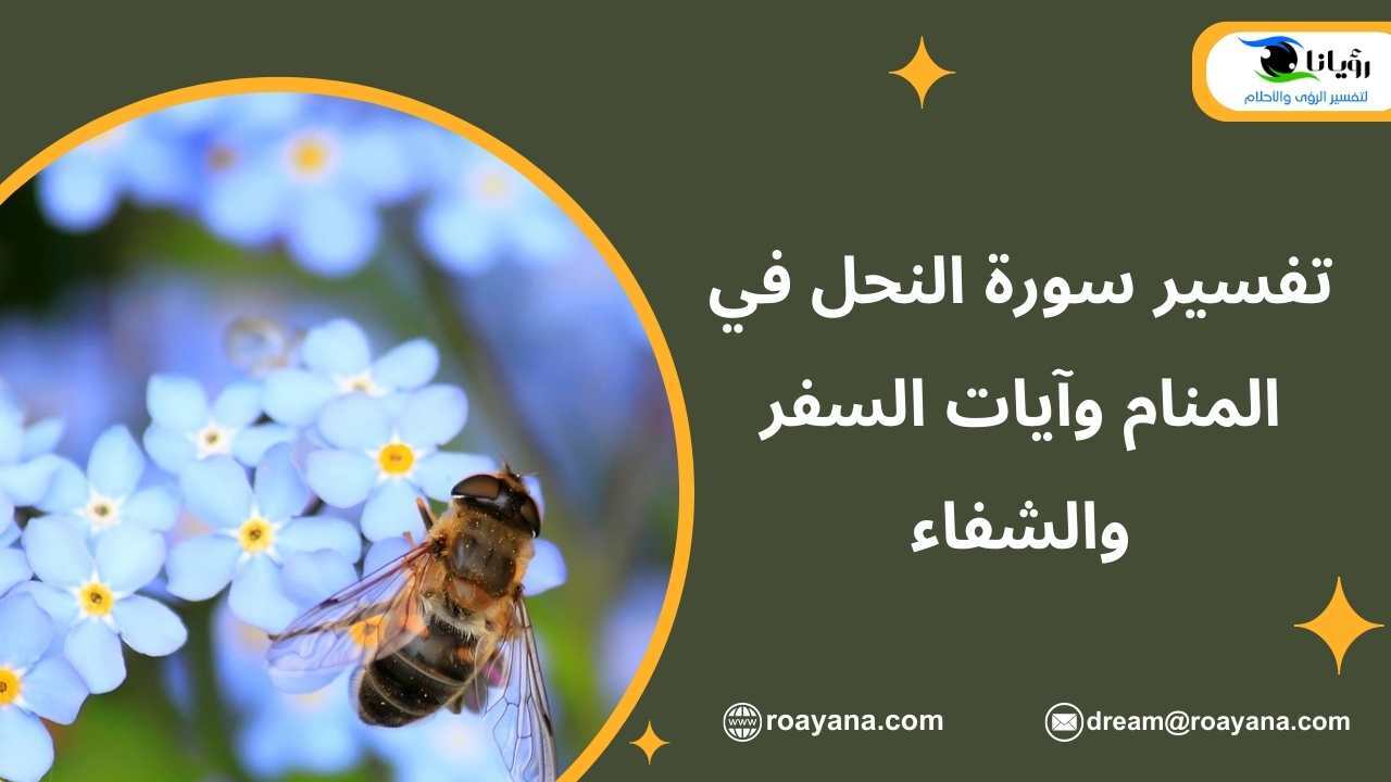 تفسير سورة النحل في المنام وآيات السفر والشفاء رؤيانا