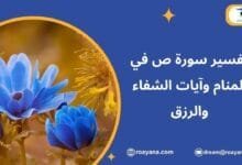 تفسير حلم سورة ص في المنام