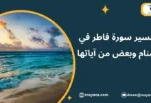 تفسير حلم سورة فاطر في المنام