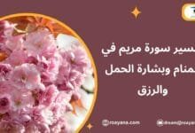 تفسير حلم سورة مريم في المنام