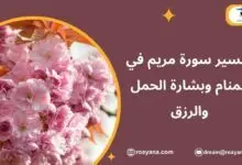 تفسير سورة مريم في المنام وبشارة الحمل والرزق تفسير حلم سورة مريم في المنام