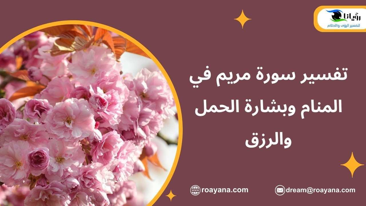تفسير سورة مريم في المنام وبشارة الحمل والرزق تفسير حلم سورة مريم في المنام