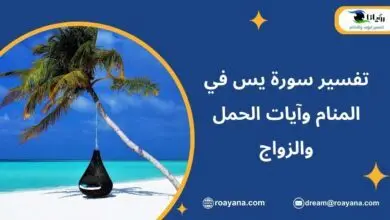 تفسير سورة يس في المنام وآيات الحمل والزواج تفسير حلم سورة يس في المنام