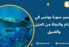 تفسير حلم سورة يونس في المنام