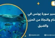 تفسير حلم سورة يونس في المنام