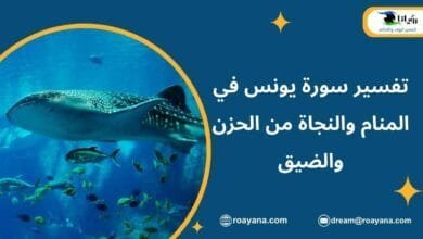 تفسير حلم سورة يونس في المنام