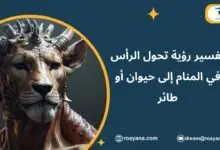 تفسير حلم تحول الرأس في المنام