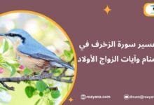 تفسير رؤية سورة الزخرف في المنام