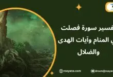 تفسير حلم سورة فصلت في المنام