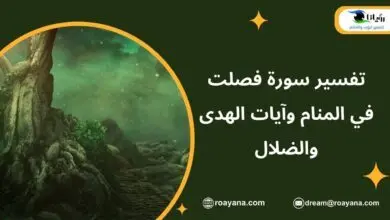 تفسير سورة فصلت في المنام وآيات الهدى والضلال تفسير حلم سورة فصلت في المنام
