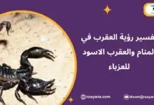 تفسير رؤية العقرب في المنام والعقرب الاسود للعزباء تفسير حلم العقرب في المنام للعزباء