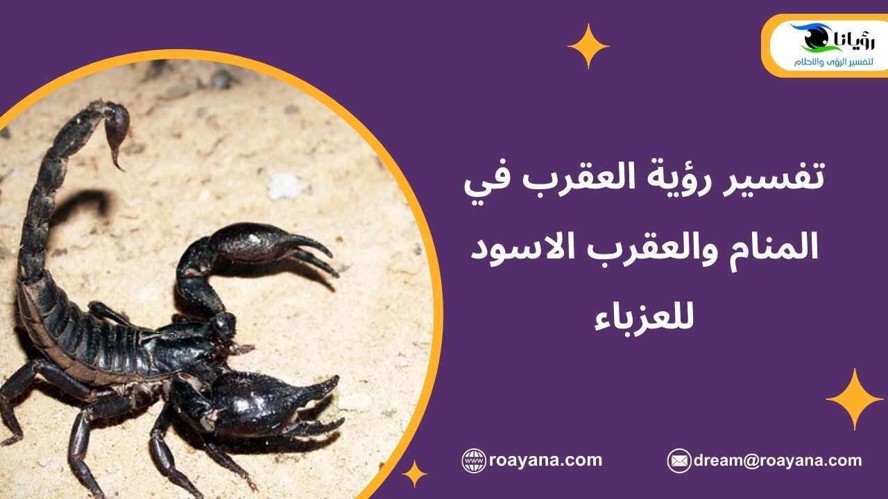 تفسير حلم العقرب في المنام للعزباء