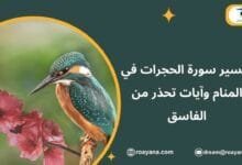 تفسير حلم سورة الحجرات في المنام