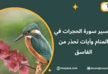 تفسير سورة الحجرات في المنام وآيات تحذر من الفاسق تفسير حلم سورة الحجرات في المنام