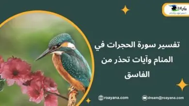 تفسير سورة الحجرات في المنام وآيات تحذر من الفاسق تفسير حلم سورة الحجرات في المنام