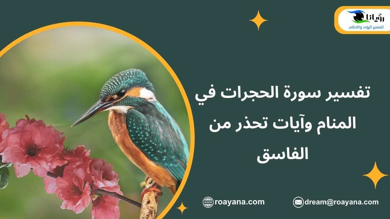 تفسير سورة الحجرات في المنام وآيات تحذر من الفاسق تفسير حلم سورة الحجرات في المنام