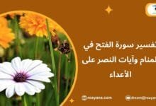 تفسير حلم سورة الفتح في المنام
