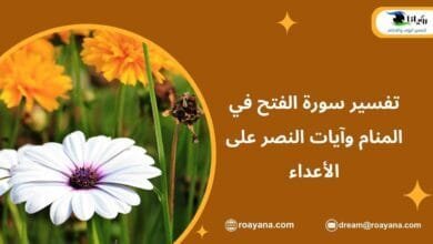 تفسير سورة الفتح في المنام وآيات النصر على الأعداء تفسير حلم سورة الفتح في المنام