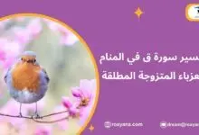 تفسير رؤية سورة ق في المنام