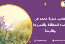 تفسير رؤية سورة محمد في المنام