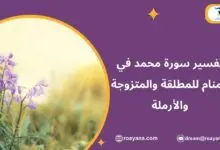 تفسير سورة محمد في المنام للمطلقة والمتزوجة والأرملة تفسير رؤية سورة محمد في المنام