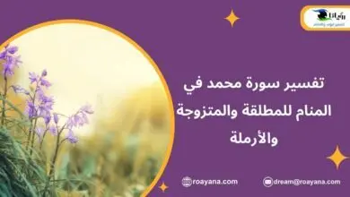 تفسير رؤية سورة محمد في المنام