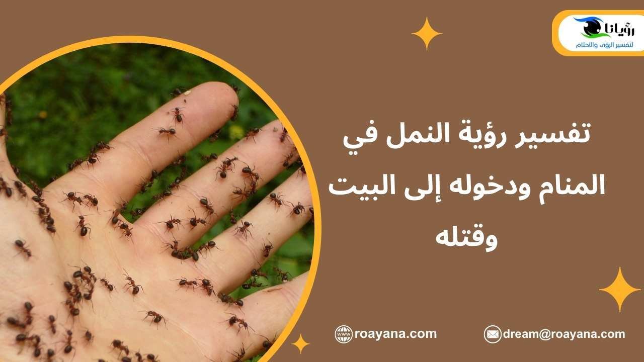 تفسير رؤية النمل في المنام ودخوله إلى البيت وقتله تفسير حلم النمل في المنام