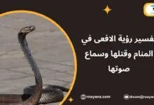 تفسير حلم الافعى في المنام