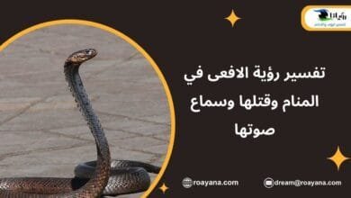 تفسير حلم الافعى في المنام