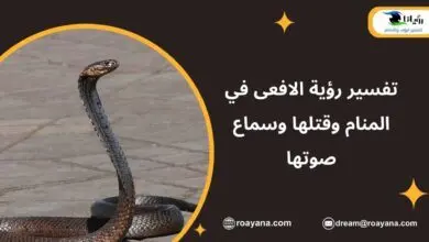 تفسير رؤية الافعى في المنام وقتلها وسماع صوتها تفسير حلم الافعى في المنام
