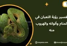 تفسير حلم الثعبان في المنام
