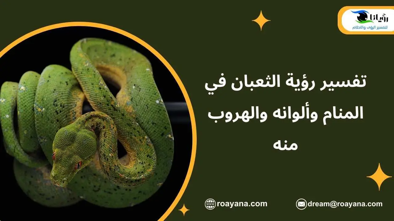 تفسير رؤية الثعبان والأفعى والحية في المنام وألوانها تفسير حلم الثعبان في المنام