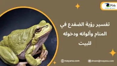 تفسير رؤية الضفدع في المنام وألوانه ودخوله للبيت تفسير حلم الضفدع في المنام