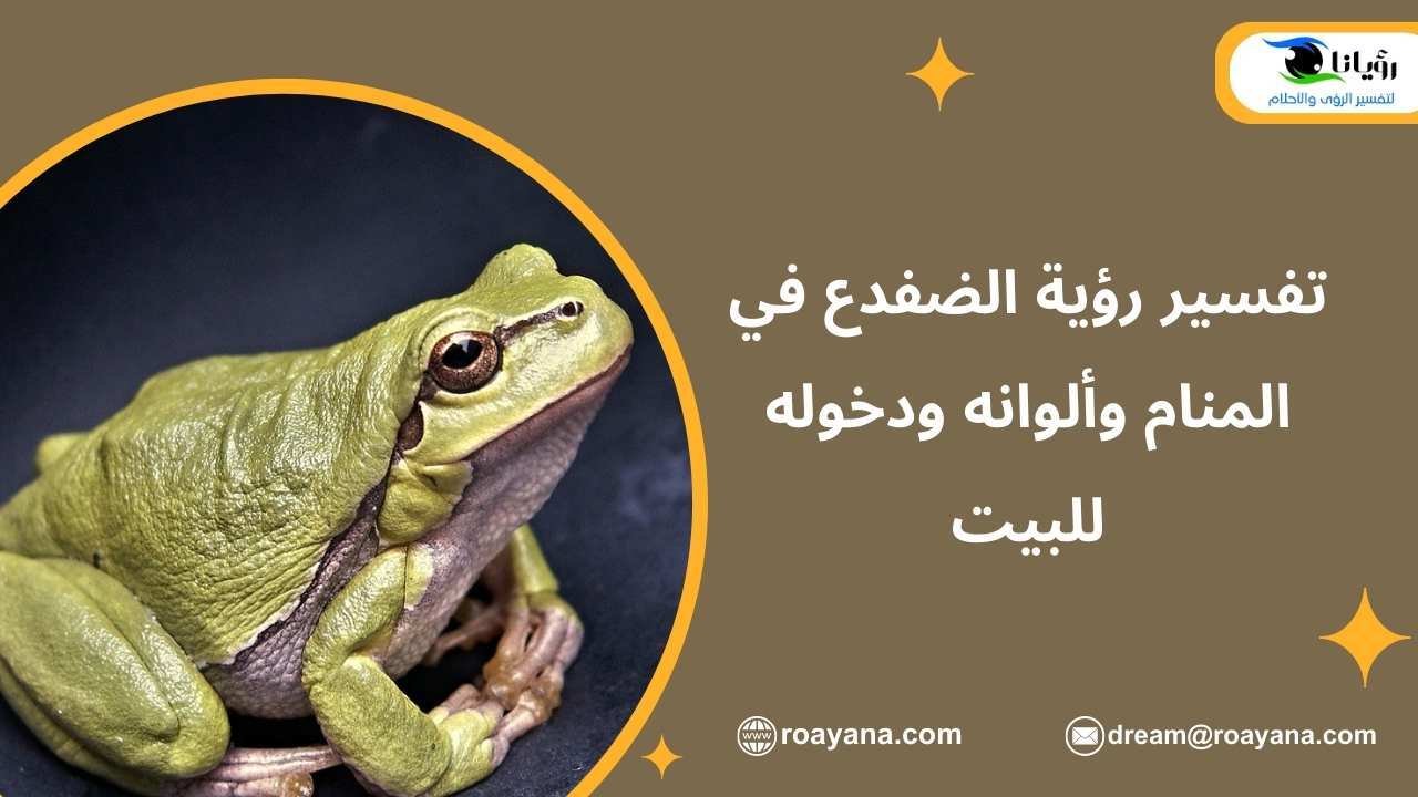 تفسير رؤية الضفدع في المنام وألوانه ودخوله للبيت تفسير حلم الضفدع في المنام